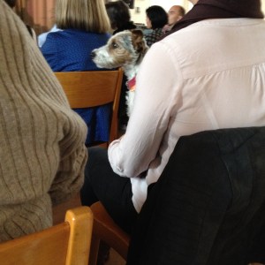 LESUNG Dreiundsechzig  Ein besonders liebenswerter Gast Fluke 1