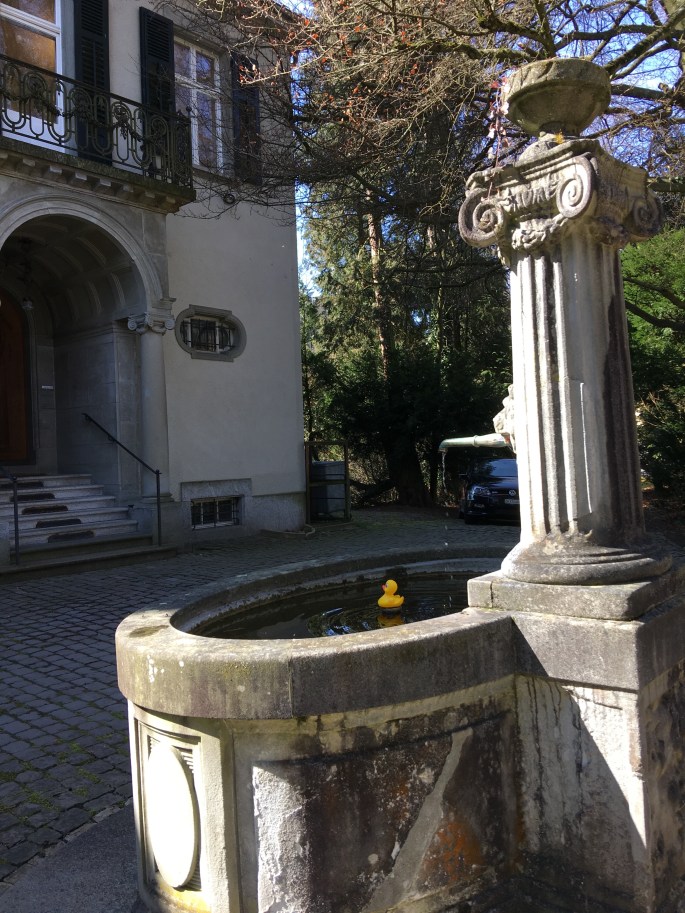 ente im traubengutbrunnen.jpg