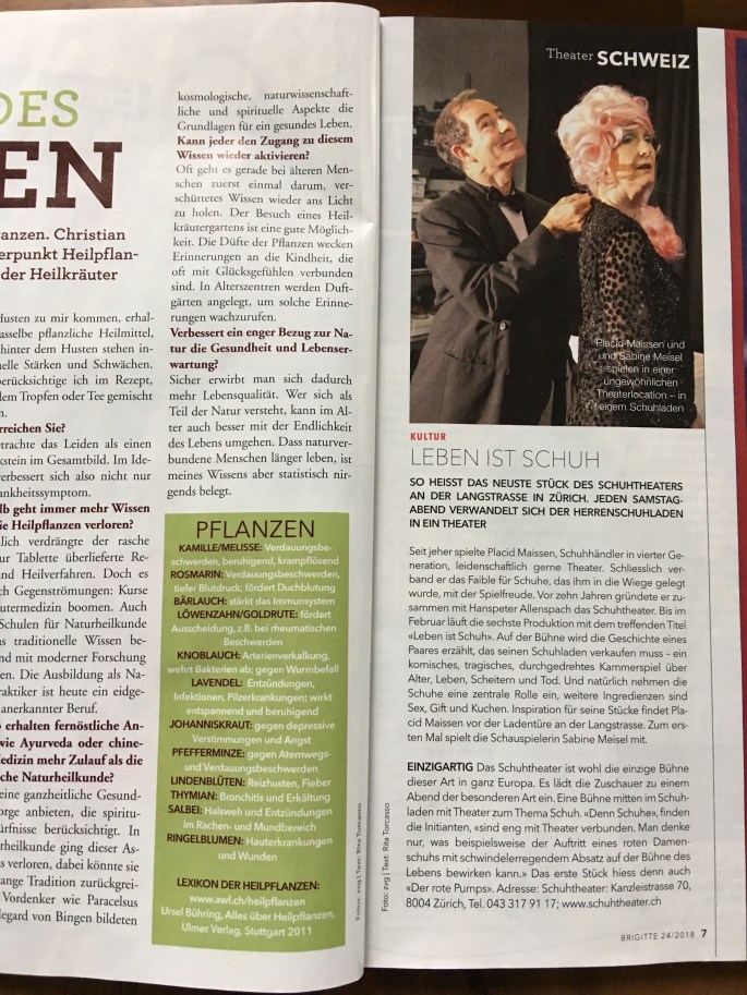 Artikel schuh brigitte.jpg